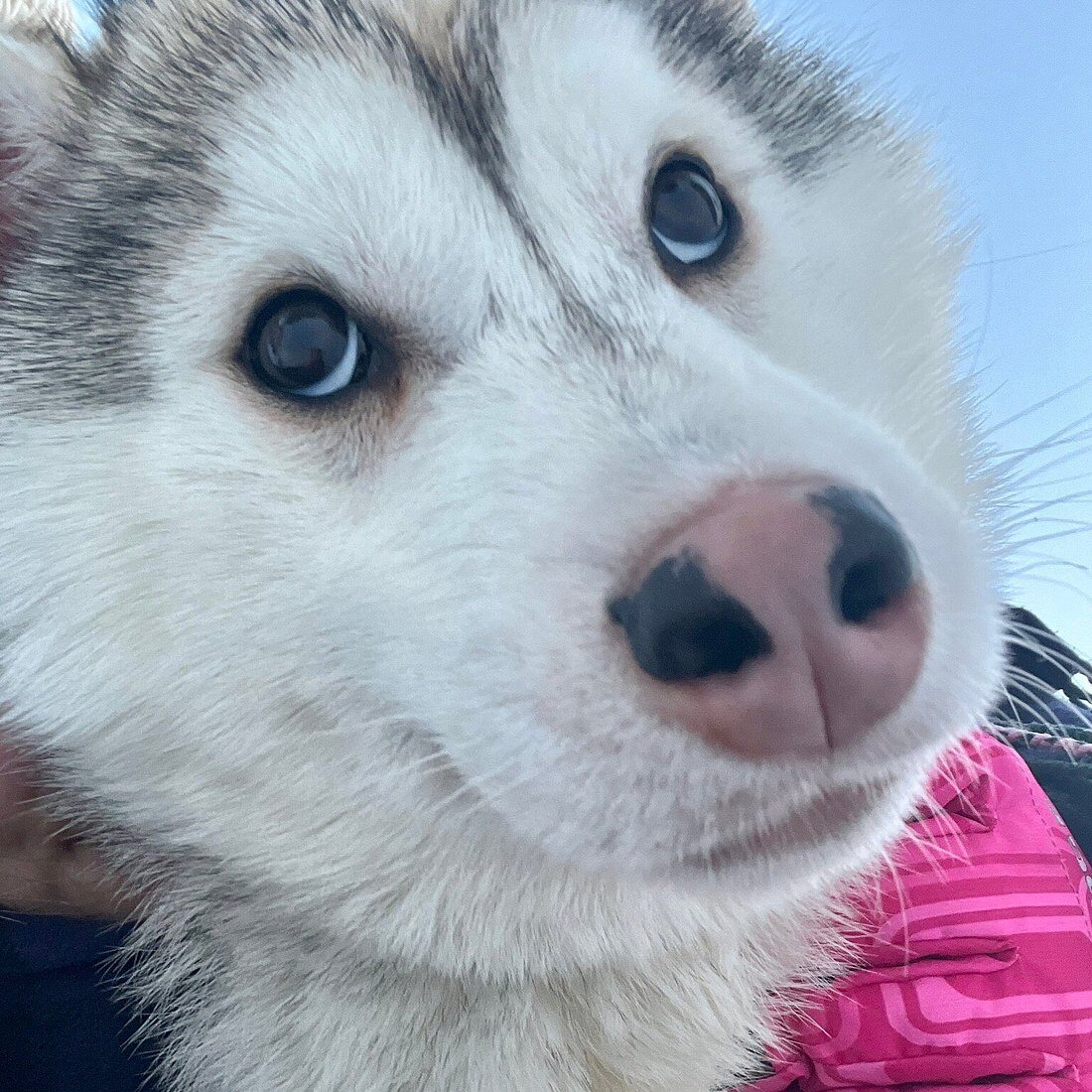 Edgar: A playful spirit who listens with his eyes.